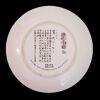 Imperial Jingdezhen Porcelain Plates "Lady White" & "Pao Chai" - 4