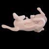 Franklin Mint "Playful Moment" Figurine Paul Ipsen Dog Puppy Porcelain - 4