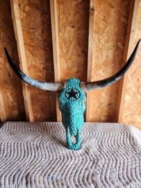 Authentic Bull Skull with Turquoise stones Home Decor