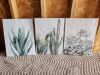 Cactus/Succulent Modern Canvas Wall Art