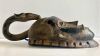 Dance Mask w/ Buffalo Head - Aboriginal Indigenous Art - 3