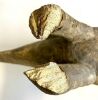 Dogon Beak w/ Standing Figure - Aboriginal Indigenous Art - 3