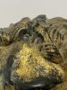 Gilt Carved Wood Lion - 2