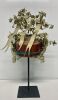 Miao Silver Bridal Crown (S.E. Asia) - 4