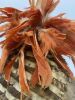 Indigenous Fur / Leather Headdress With Feathers - 3