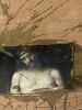 Michael Tracy "Betrayed By A Kiss I" Contemporary Iconography Art - 2